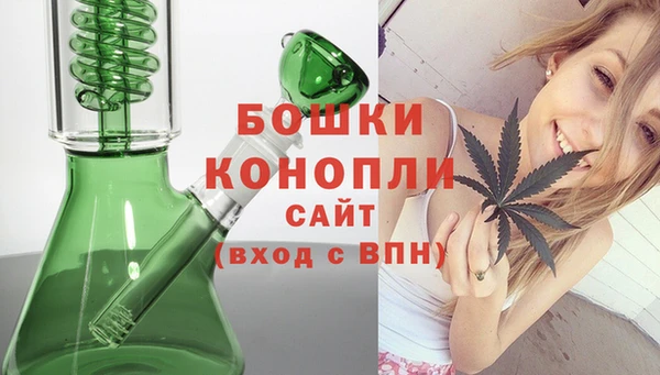 шишки Лиски