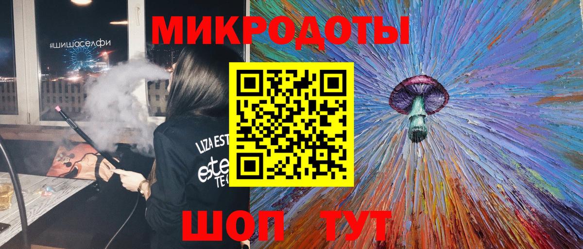 Псилоцибиновые грибы Psilocybe Лесосибирск