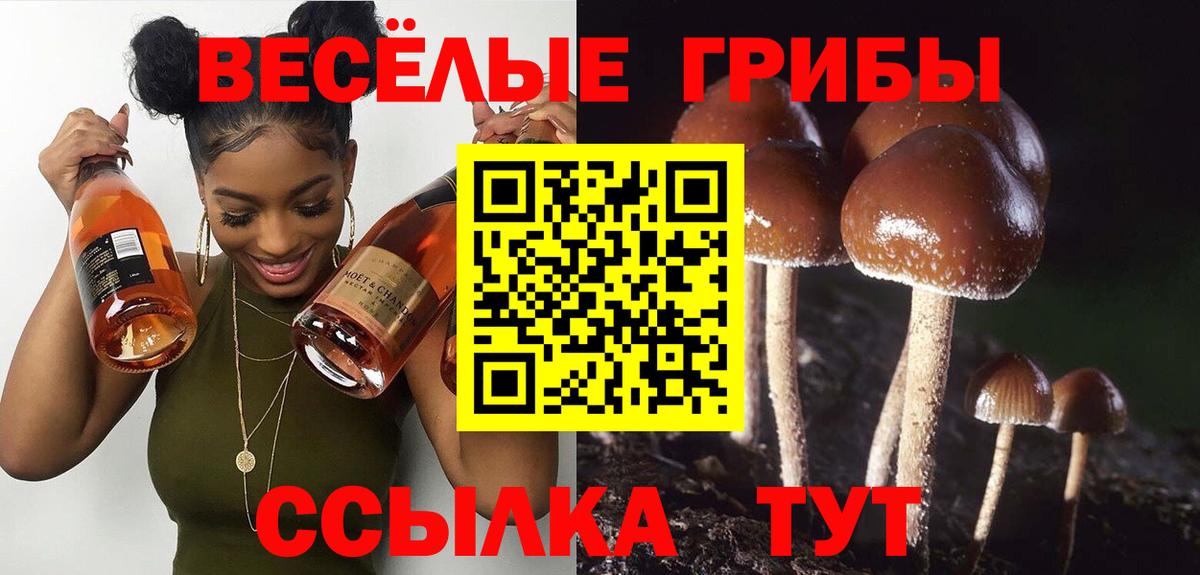 Лесосибирск  наркотики  Псилоцибиновые грибы прущие грибы  Вход с VPN  Псилоцибиновые грибы мицелий 