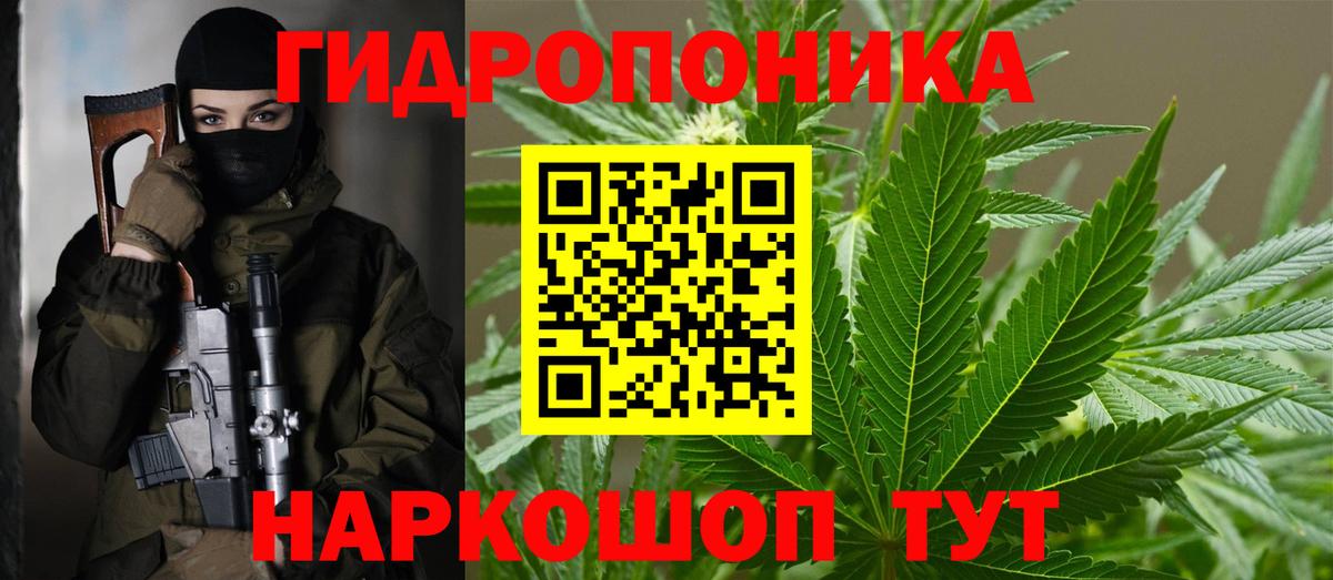 Марихуана тримм  Бошки марихуана планчик  Бошки Шишки ГИДРОПОН  Шишки марихуана VHQ  Вход с VPN  Лесосибирск 